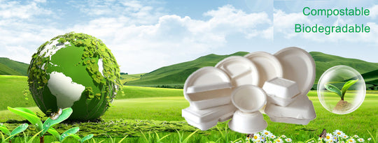 SUGARCANE TABLEWARE